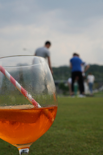ORG_DSC00809