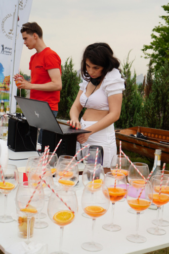 ORG_DSC00879