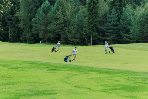 NLM_2273_2
