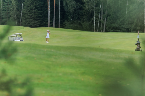 NLM_2392_2