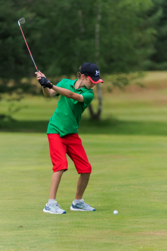 NLM_3687_2