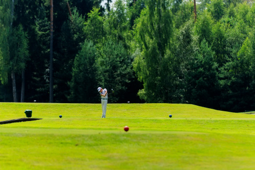 NLM_3835_2