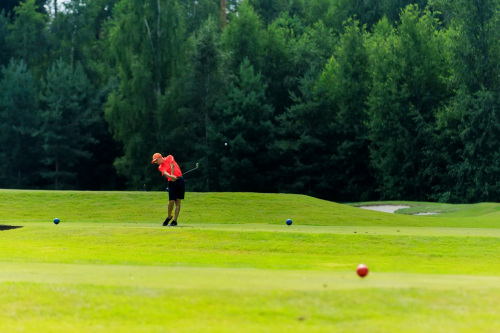NLM_3839_2