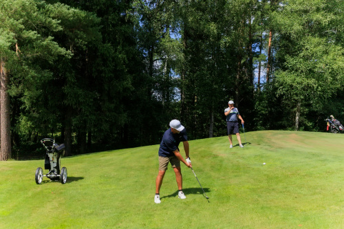 NLM_3943_2