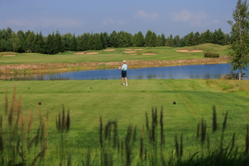NLM_1567_2