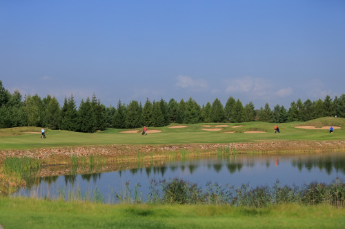 NLM_1570_2