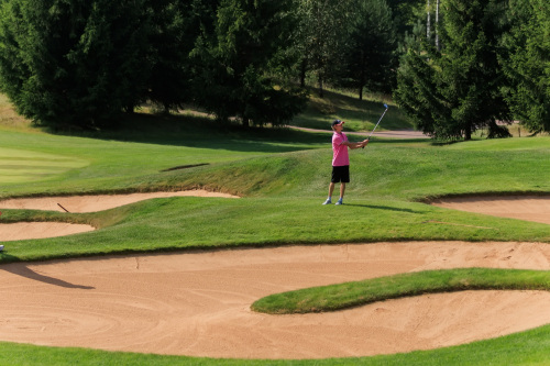 NLM_1619_2